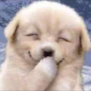 ヒメ日記 2025/07/08 12:02 投稿 かるた ポッキリ学園 ～モテモテハーレムごっこ～