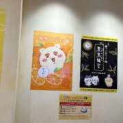 ヒメ日記 2025/09/29 20:02 投稿 かるた ポッキリ学園 ～モテモテハーレムごっこ～