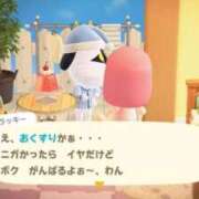 ヒメ日記 2025/10/11 21:08 投稿 かるた ポッキリ学園 ～モテモテハーレムごっこ～