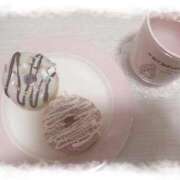 かるた ドーナちゅ❕つくった❕ ポッキリ学園 ～モテモテハーレムごっこ～