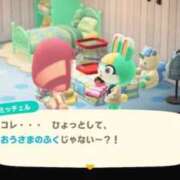 ヒメ日記 2026/02/22 00:11 投稿 かるた ポッキリ学園 ～モテモテハーレムごっこ～