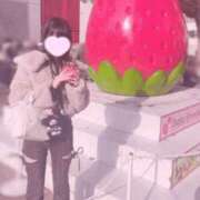 ヒメ日記 2026/03/20 18:11 投稿 かるた ポッキリ学園 ～モテモテハーレムごっこ～