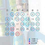 ヒメ日記 2026/02/24 17:25 投稿 ♡ルリ MEGA PALACE(メガパレス）