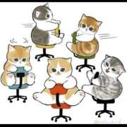 ヒメ日記 2024/12/12 04:29 投稿 高野【たかの】 丸妻 西船橋店