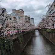 ヒメ日記 2025/04/02 23:36 投稿 高野【たかの】 丸妻 西船橋店