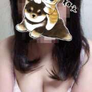 ヒメ日記 2025/04/16 14:53 投稿 高野【たかの】 丸妻 西船橋店