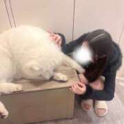 ヒメ日記 2025/03/26 14:28 投稿 かんな ビギナーズ東京