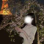 ヒメ日記 2025/04/12 00:16 投稿 かんな ビギナーズ東京