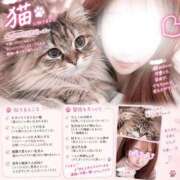 ヒメ日記 2026/09/14 19:04 投稿 りく★人妻KISS★ 人妻kiss