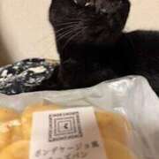 ヒメ日記 2025/10/10 09:48 投稿 心 高津角えび