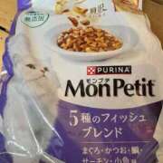 ヒメ日記 2026/03/25 19:48 投稿 心 高津角えび