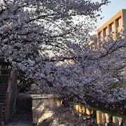 ヒメ日記 2026/03/30 20:08 投稿 心 高津角えび