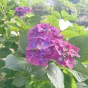 ヒメ日記 2025/07/10 23:31 投稿 はな エンジェルハンズ