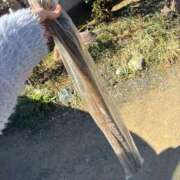 ヒメ日記 2026/03/14 19:55 投稿 はな エンジェルハンズ