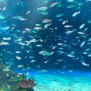 ヒメ日記 2025/11/19 17:23 投稿 美咲【みさき】 丸妻 西船橋店