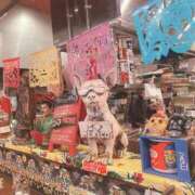 ヒメ日記 2026/01/11 13:35 投稿 美咲【みさき】 丸妻 西船橋店