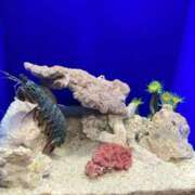 ヒメ日記 2026/01/11 13:44 投稿 美咲【みさき】 丸妻 西船橋店