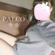 ヒメ日記 2024/09/17 12:17 投稿 ララ PALCO