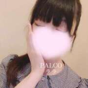 ヒメ日記 2024/09/23 09:14 投稿 ララ PALCO