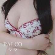 ヒメ日記 2024/10/04 11:52 投稿 ララ PALCO