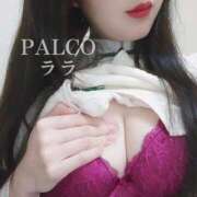 ヒメ日記 2024/10/07 13:42 投稿 ララ PALCO