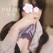 ヒメ日記 2024/10/08 20:56 投稿 ララ PALCO