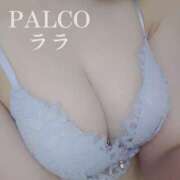 ヒメ日記 2024/10/25 06:45 投稿 ララ PALCO