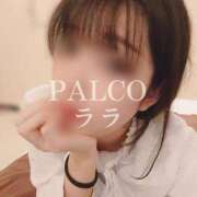 ヒメ日記 2024/10/25 10:06 投稿 ララ PALCO