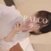 ヒメ日記 2024/10/25 13:00 投稿 ララ PALCO