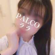 ヒメ日記 2024/10/25 19:49 投稿 ララ PALCO