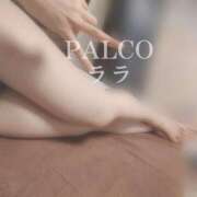 ヒメ日記 2024/10/25 19:58 投稿 ララ PALCO