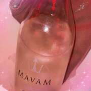 ヒメ日記 2025/08/31 19:11 投稿 まろん 神田はっち