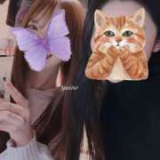 ヒメ日記 2024/12/25 16:05 投稿 ゆいの クリステル