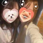 ヒメ日記 2025/01/28 17:58 投稿 ゆいの クリステル