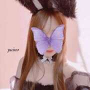 ヒメ日記 2025/02/23 18:45 投稿 ゆいの クリステル