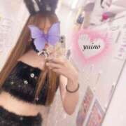 ヒメ日記 2025/03/25 19:19 投稿 ゆいの クリステル