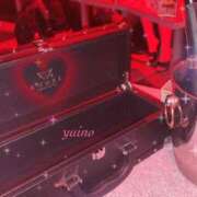 ヒメ日記 2025/04/16 18:20 投稿 ゆいの クリステル