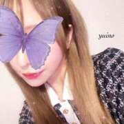 ヒメ日記 2025/08/02 17:37 投稿 ゆいの クリステル