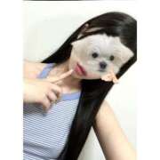 ヒメ日記 2025/06/22 16:21 投稿 楪 いのり 超LEXUS