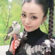 ヒメ日記 2024/12/22 19:46 投稿 美山 鶯谷人妻城