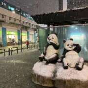 ヒメ日記 2025/01/09 10:07 投稿 美山 鶯谷人妻城