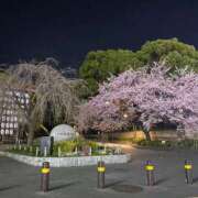 ヒメ日記 2025/03/14 04:25 投稿 美山 鶯谷人妻城