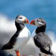 ヒメ日記 2025/09/11 11:03 投稿 えいる 海上空天 SHANGHAI HEAVEN