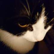 ヒメ日記 2025/10/10 21:39 投稿 えいる 海上空天 SHANGHAI HEAVEN