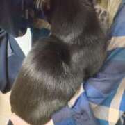 ヒメ日記 2025/11/10 00:00 投稿 えいる 海上空天 SHANGHAI HEAVEN