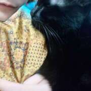 ヒメ日記 2025/11/10 06:30 投稿 えいる 海上空天 SHANGHAI HEAVEN