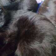 ヒメ日記 2025/11/11 07:44 投稿 えいる 海上空天 SHANGHAI HEAVEN