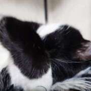 ヒメ日記 2025/11/12 06:15 投稿 えいる 海上空天 SHANGHAI HEAVEN