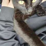 ヒメ日記 2025/11/17 10:03 投稿 えいる 海上空天 SHANGHAI HEAVEN