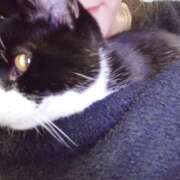 ヒメ日記 2025/11/22 12:03 投稿 えいる 海上空天 SHANGHAI HEAVEN